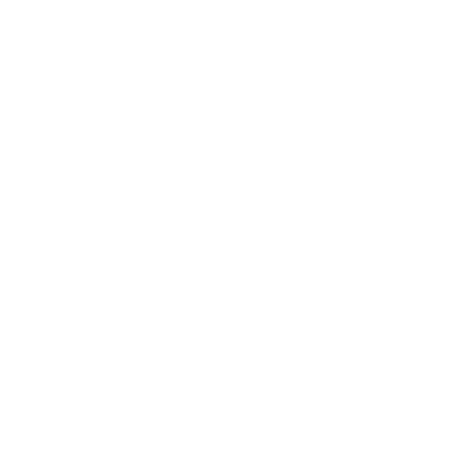 One Of One